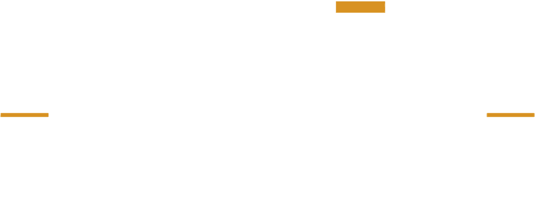 Business Flights Travel